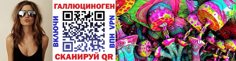 кракен вход Цоци-Юрт Галлюциногенные грибы Magic Shrooms